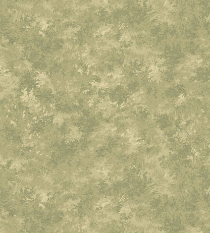 Mulberry Forest Wallpaper by Mulberry Home Misty Morning