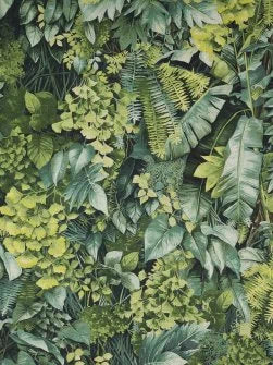 Mur Vegetal Fabric by Pierre Frey in Chlorophylle (F3680001)
