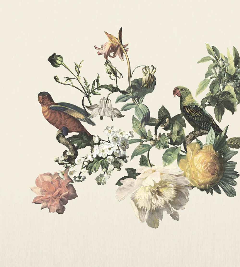 Posed Parrots Mural by Eijffinger 401