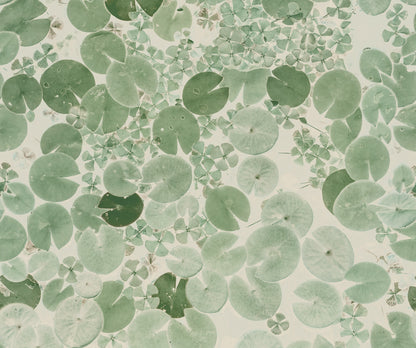 Mystic Water Lilies Light Green mural by Rebel Walls