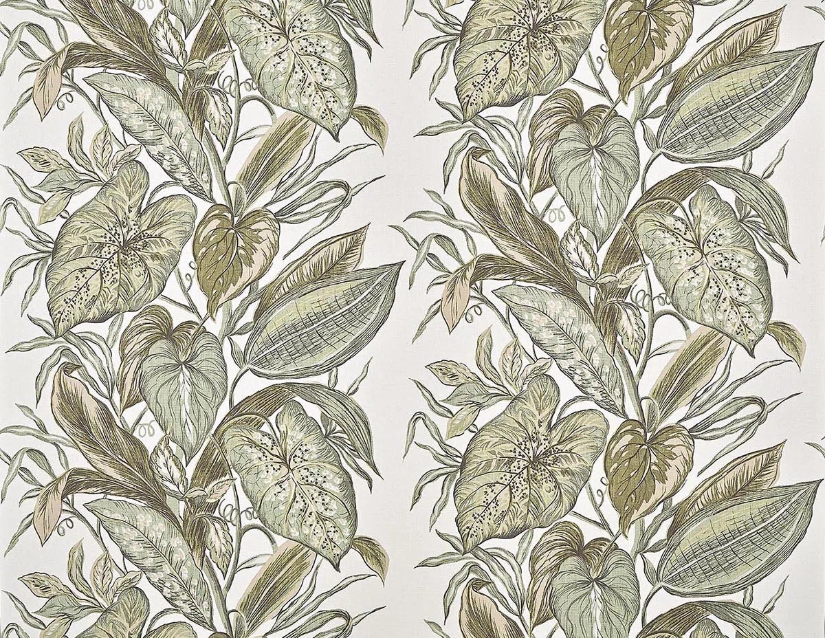 Nassau Wallpaper by Pierre Frey in Agave (FP102001)