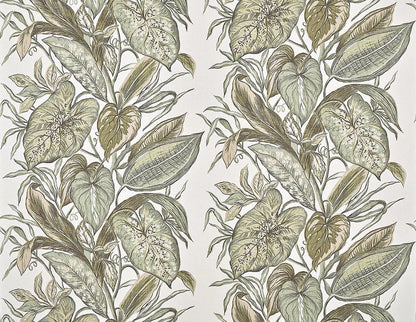 Nassau Wallpaper by Pierre Frey in Agave (FP102001)
