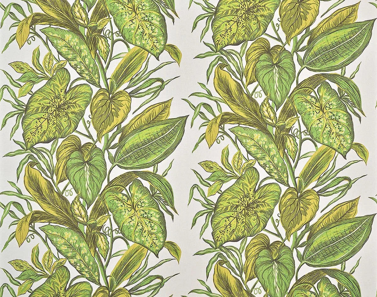 Nassau Wallpaper by Pierre Frey in Jungle (FP102002)