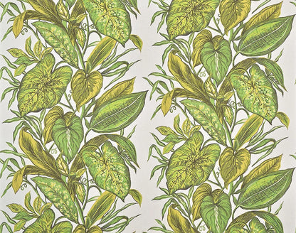 Nassau Wallpaper by Pierre Frey in Jungle (FP102002)