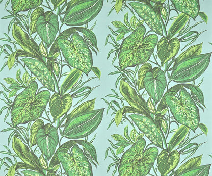 Nassau Wallpaper by Pierre Frey in Lagon (FP102003)