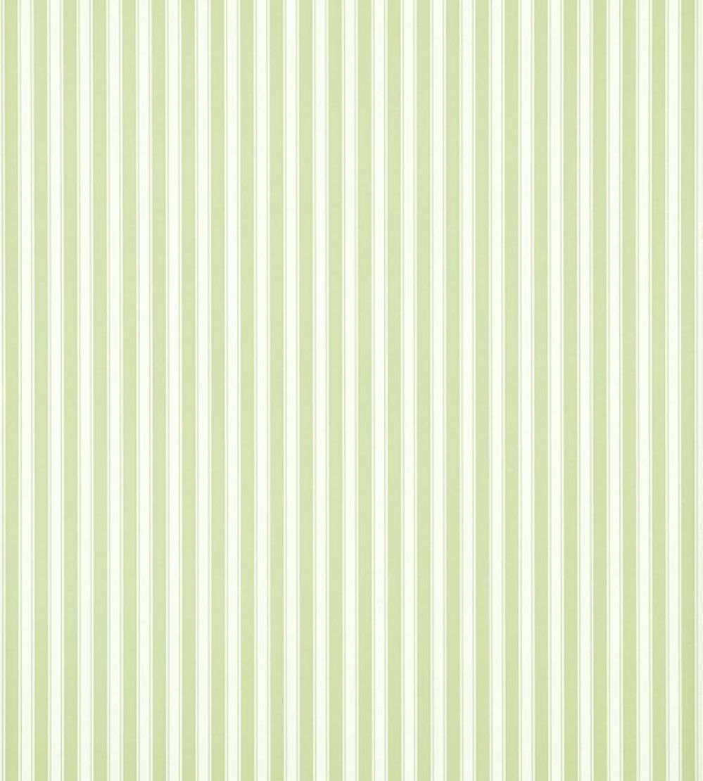 New Tiger Stripe Wallpaper by Sanderson Leaf Green/Ivory