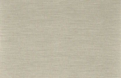 Niamh Wallpaper by Pierre Frey in Grege (FP032002)