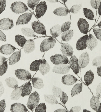 Northia Wallpaper by Clarke & Clarke Charcoal