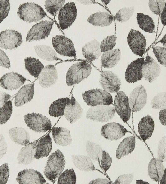 Northia Wallpaper by Clarke & Clarke Charcoal