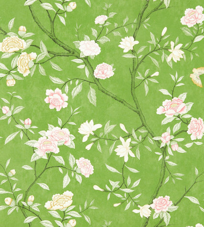 Nostell Priory Wallpaper by Zoffany Evergreen