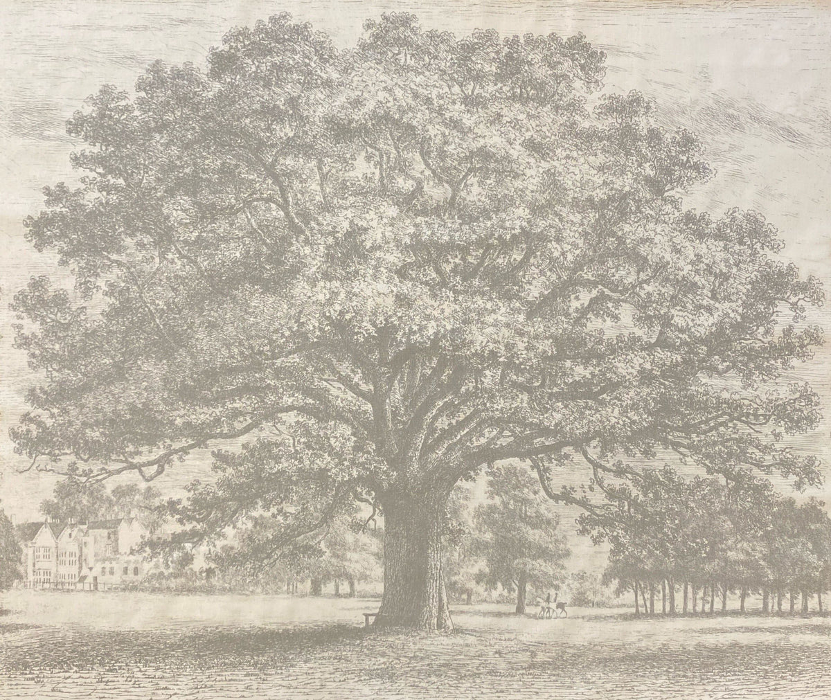 Oak Tree Fabric by Nile & York in Stone