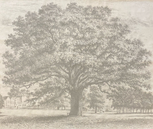 Oak Tree Fabric by Nile & York in Stone