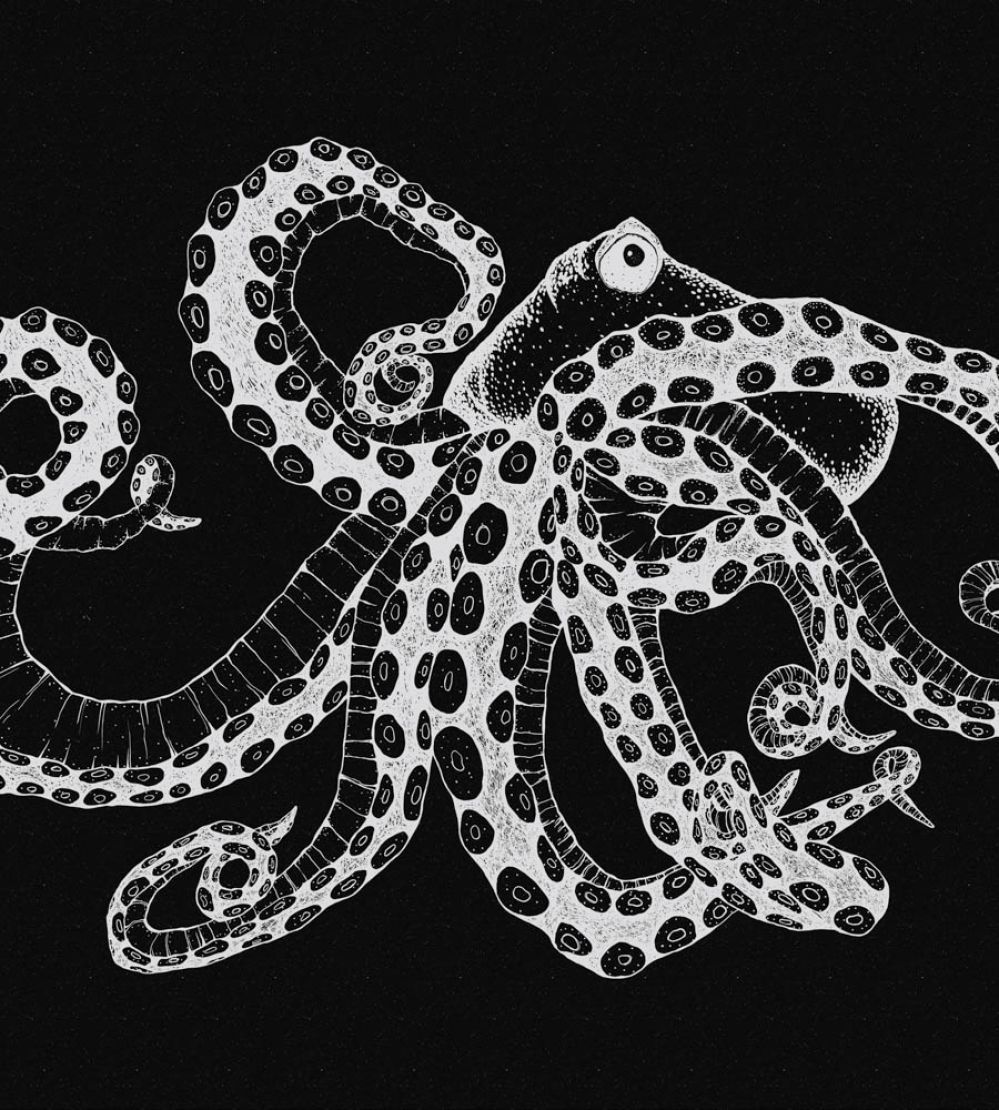 Octopus X-Ray Mural by Coordonne Black