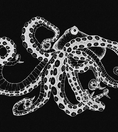 Octopus X-Ray Mural by Coordonne Black
