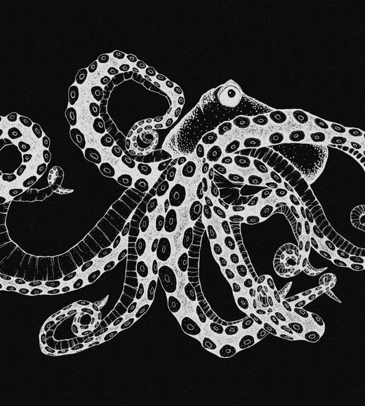Octopus X-Ray Mural by Coordonne Black
