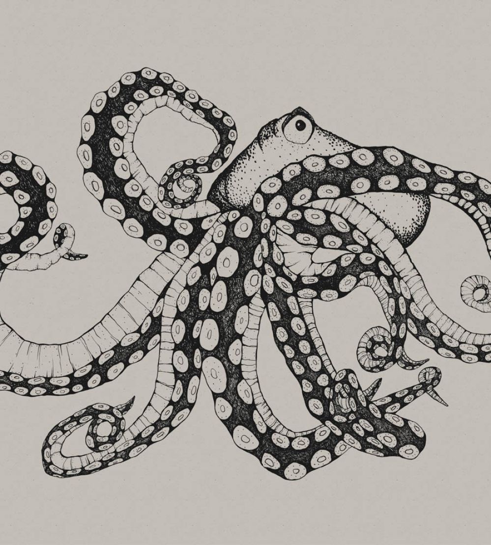 Octopus X-Ray Mural by Coordonne Ink