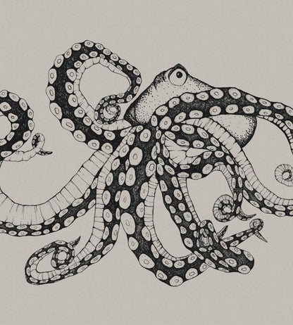 Octopus X-Ray Mural by Coordonne Ink