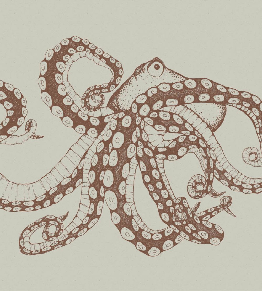 Octopus X-Ray Mural by Coordonne Papirus