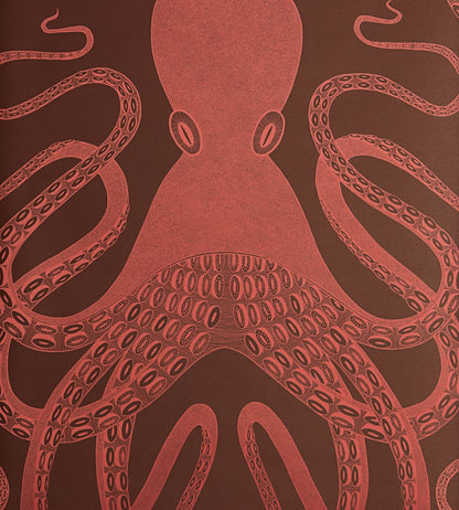 Ombre Octopus Wallpaper by MissPrint Ombre Coral