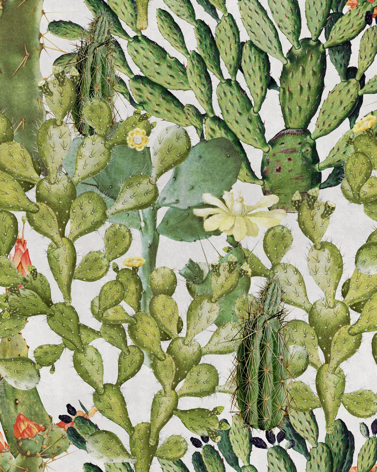 Opuntia Taupe, White wallpaper by MINDTHEGAP