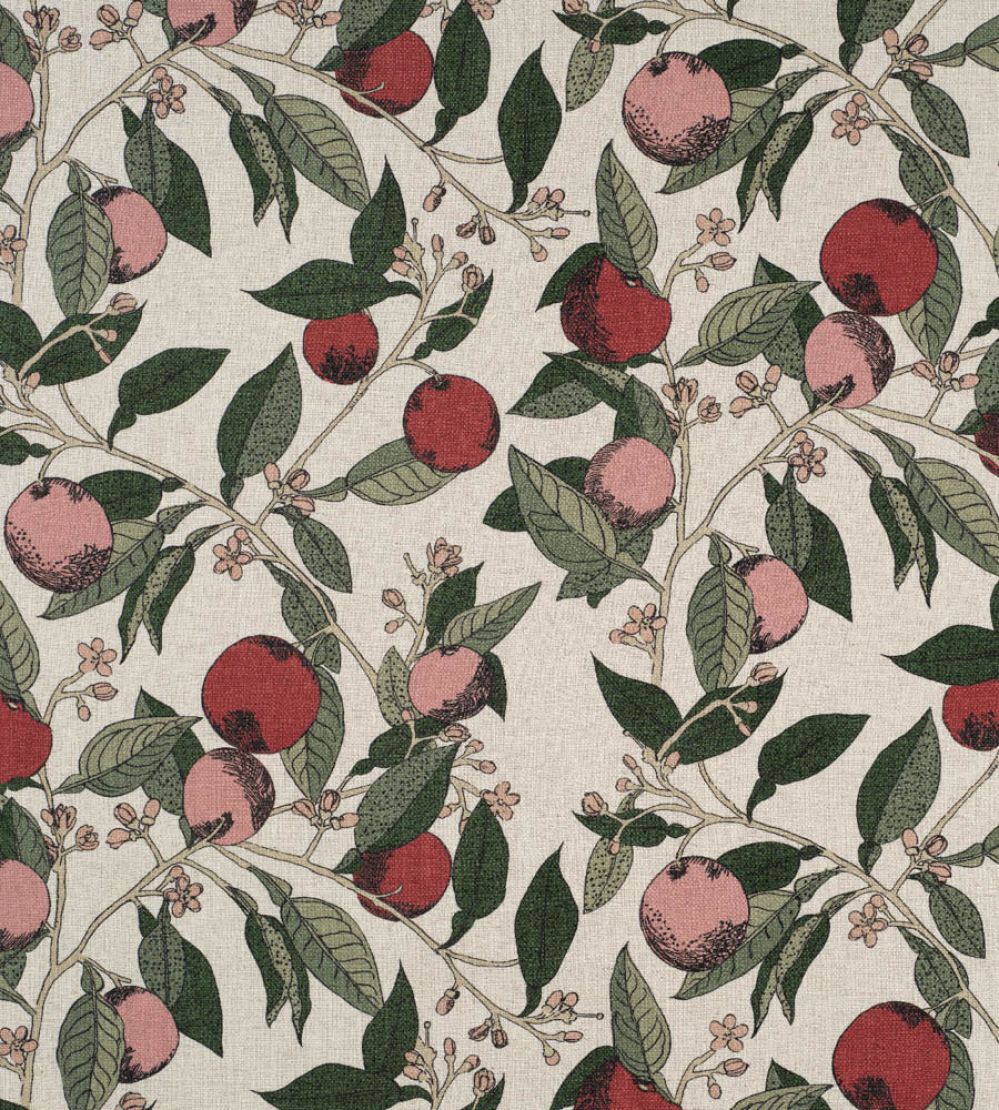 Orange Grove Fabric by James Hare Cherry Rose
