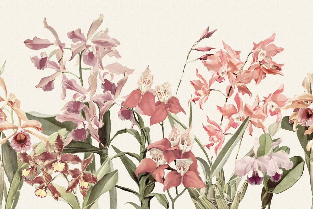Orchid Garden Neutral mural by Hovia