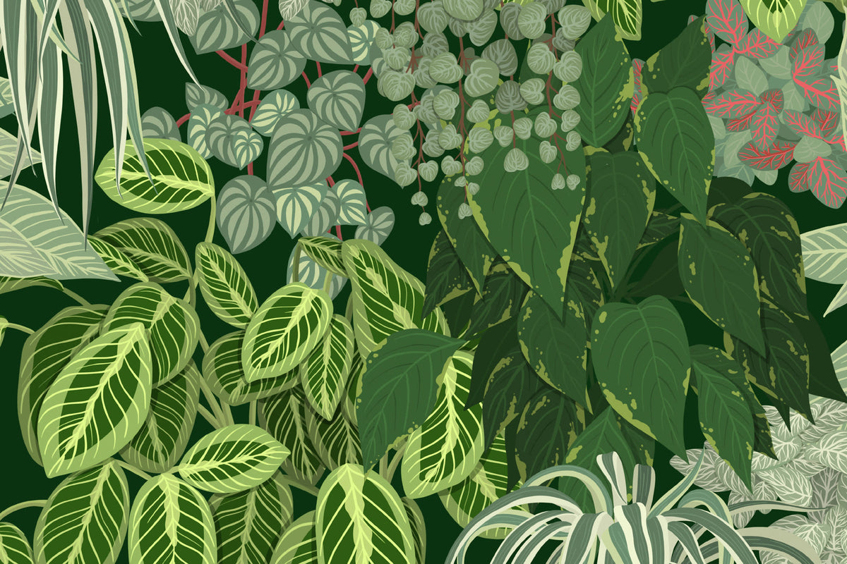 Organico Green wallpaper by Hovia
