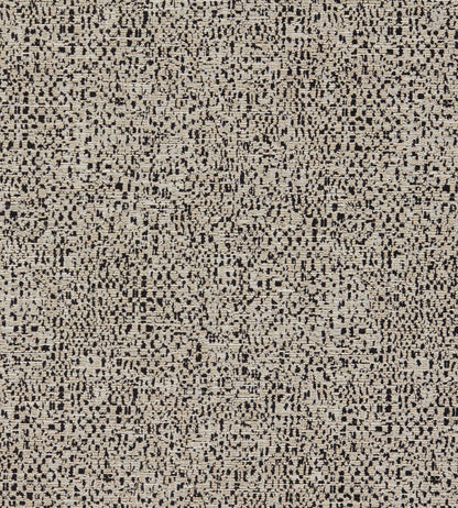 Orion Fabric by Clarke & Clarke Noir
