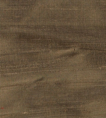Orissa Silk Fabric by James Hare Bronze