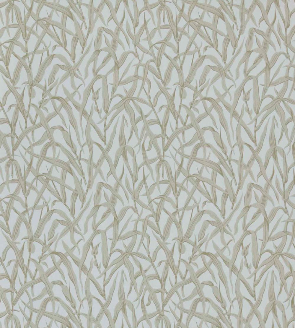 Ornamental Grasses Wallpaper by 1838 Wallcoverings Natural