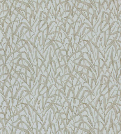 Ornamental Grasses Wallpaper by 1838 Wallcoverings Natural