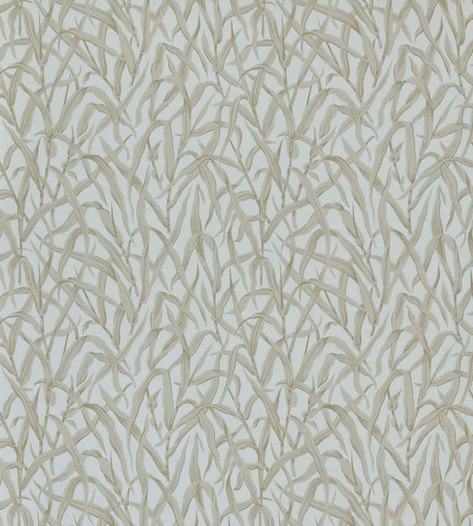 Ornamental Grasses Wallpaper by 1838 Wallcoverings Natural