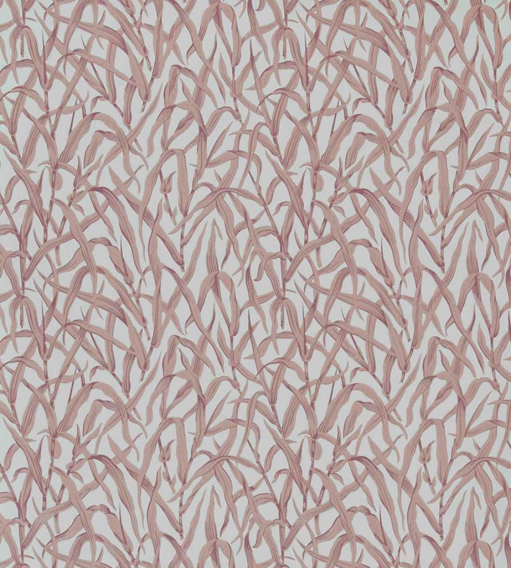 Ornamental Grasses Wallpaper by 1838 Wallcoverings Rose