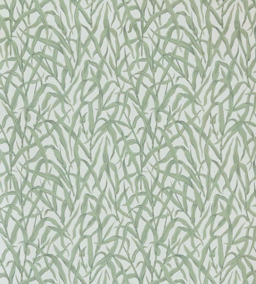 Ornamental Grasses Wallpaper by 1838 Wallcoverings Sage
