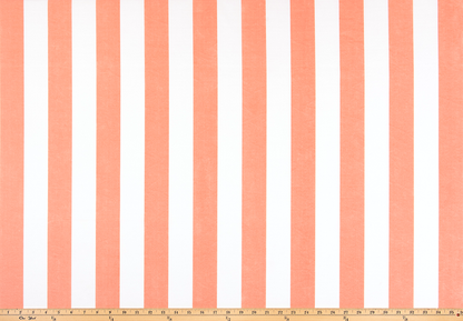 TRH3571 Fabric
