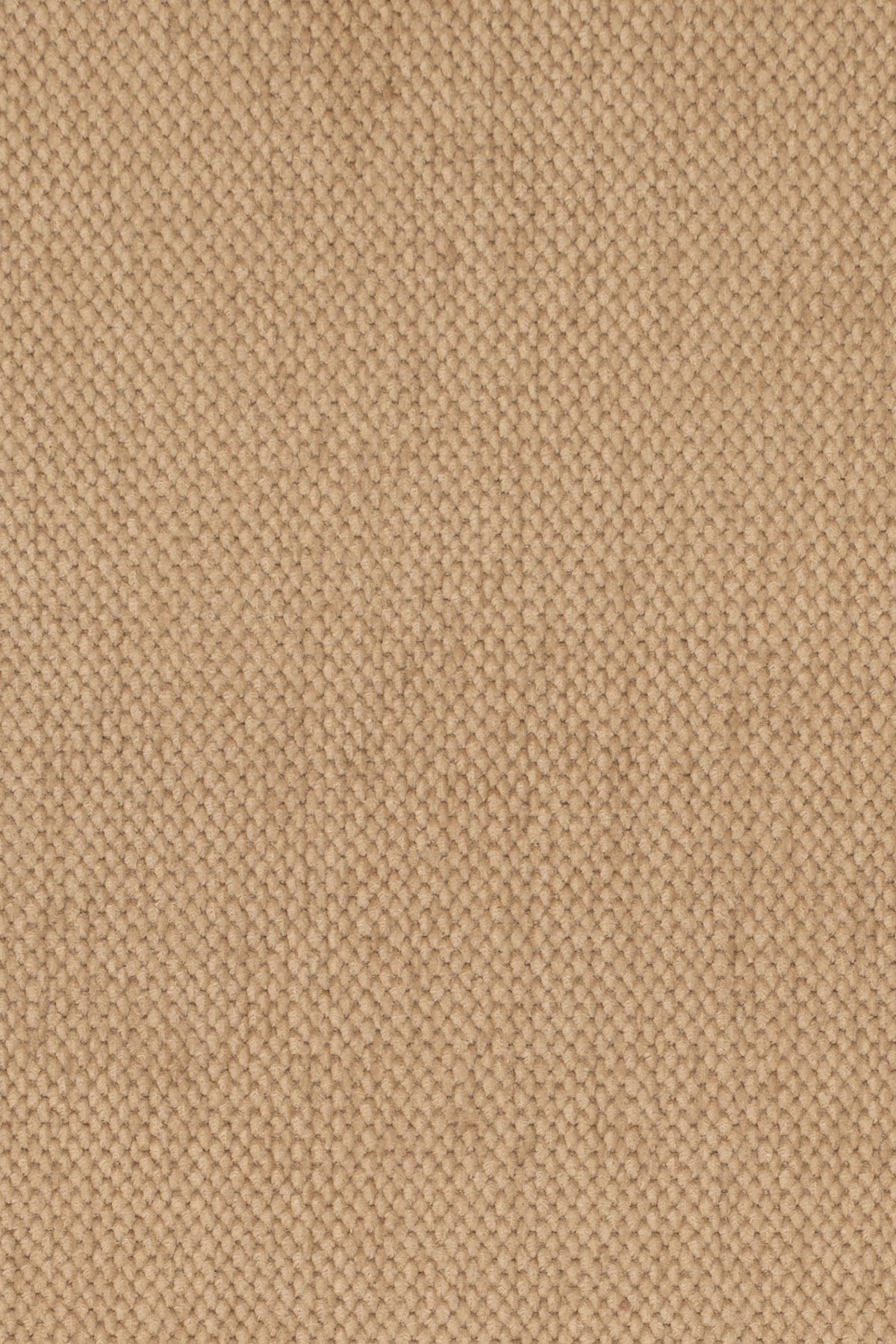 Ottoline Fabric by Jean Monro in Oyster