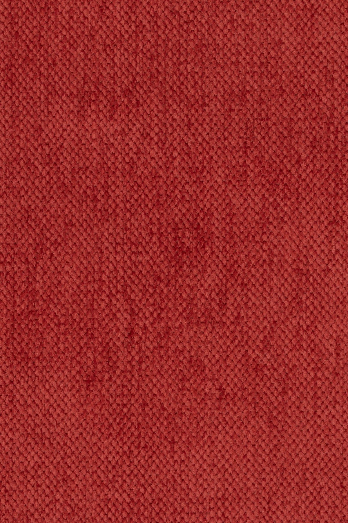 Ottoline Fabric by Jean Monro in Rose