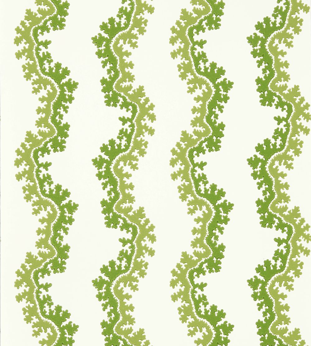 Oxbow Wallpaper by Sanderson Sap Green