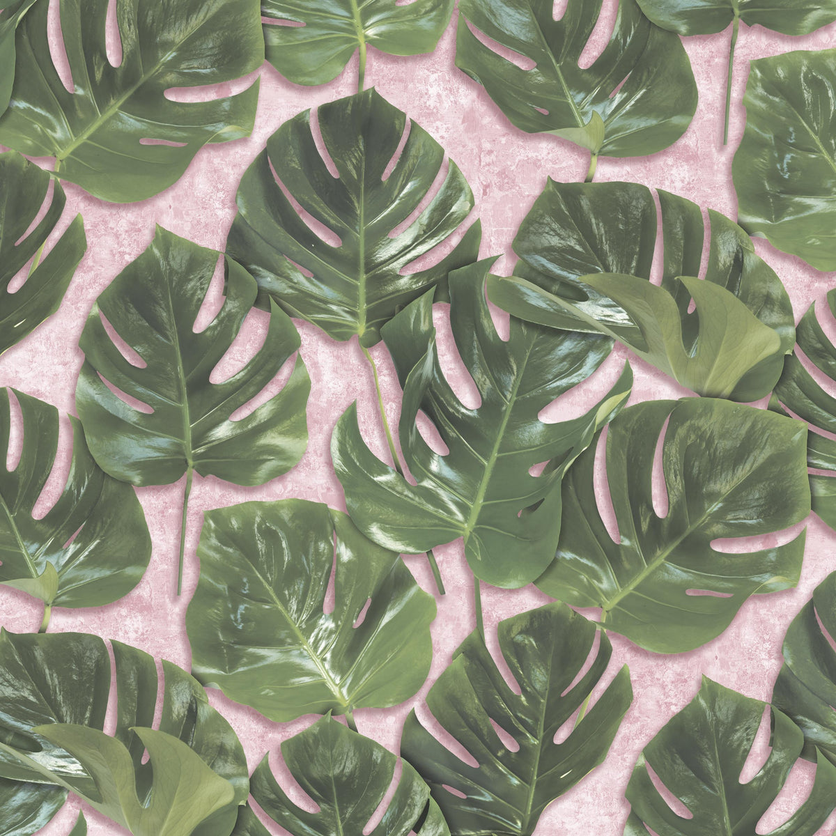 Monstera Green/Blush by Woodchip & Magnolia
