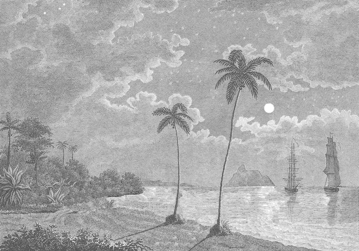 Palm Beach Black & White mural by Rebel Walls