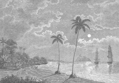 Palm Beach Black & White mural by Rebel Walls