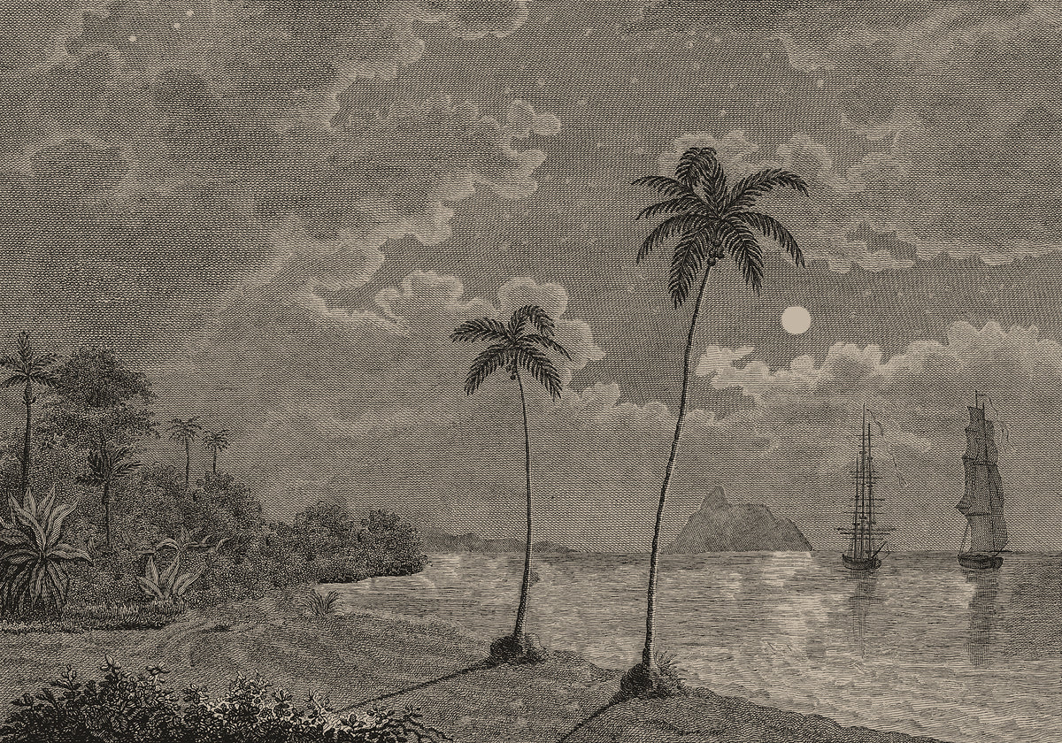 Palm Beach Vintage mural by Rebel Walls