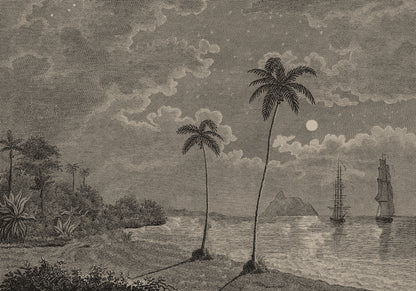 Palm Beach Vintage mural by Rebel Walls