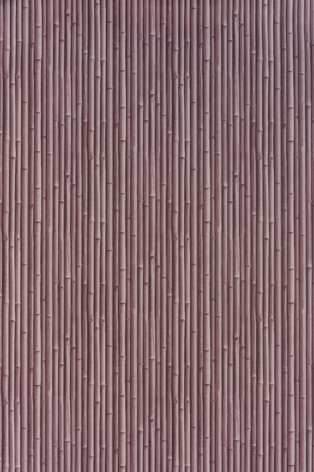 Palm Beach Wallpaper by Jean Monro in Clouded Lilac