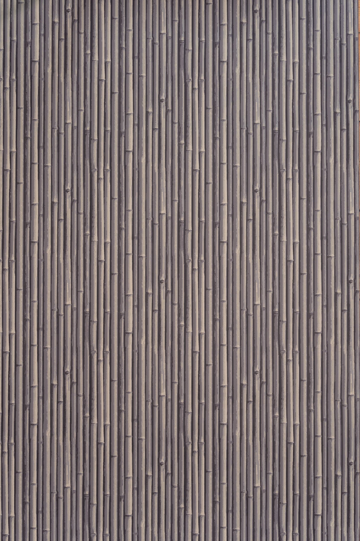 Palm Beach Wallpaper by Jean Monro in Dovecote Grey