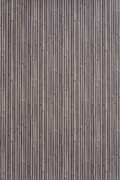 Palm Beach Wallpaper by Jean Monro in Dovecote Grey