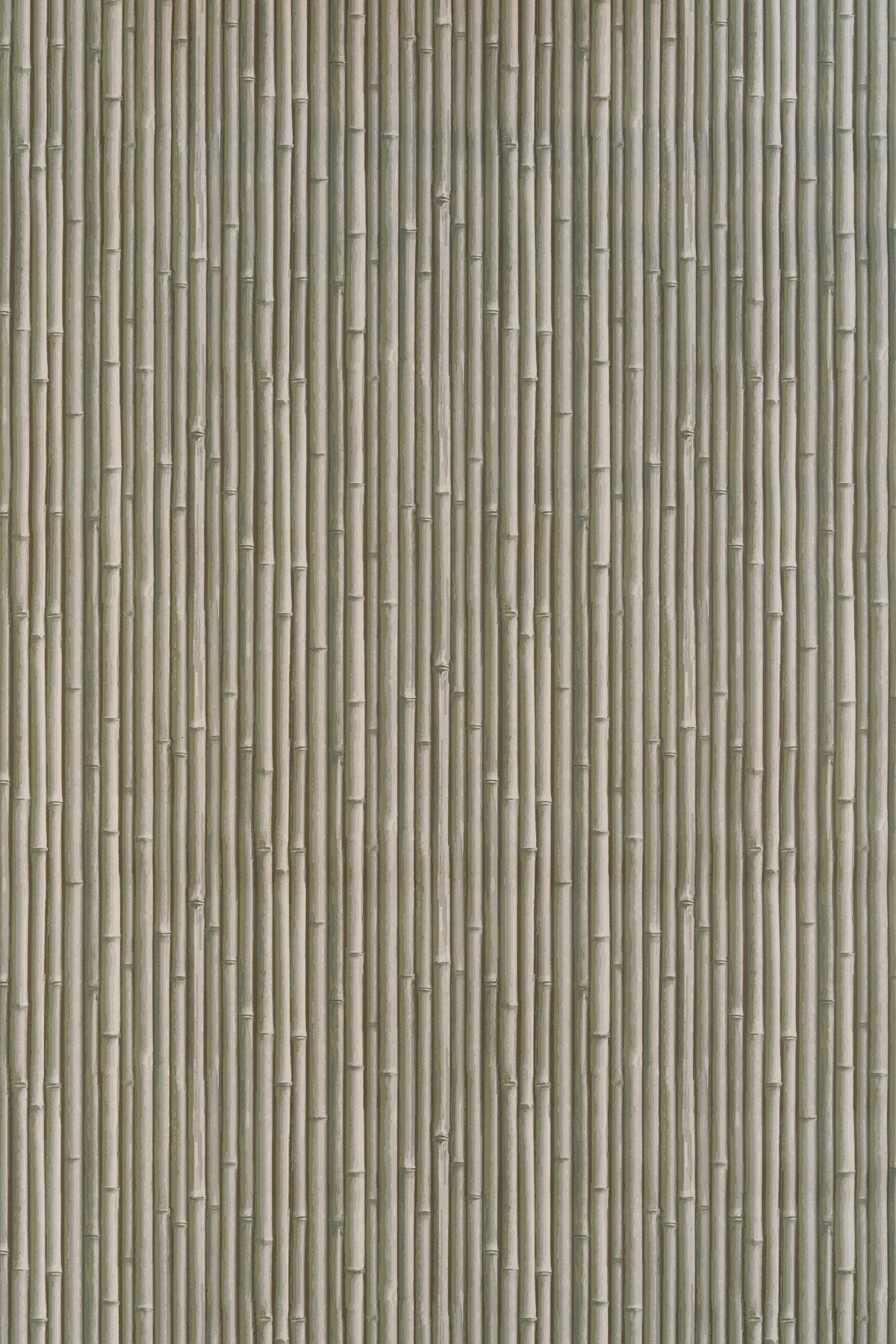 Palm Beach Wallpaper by Jean Monro in Green Olive