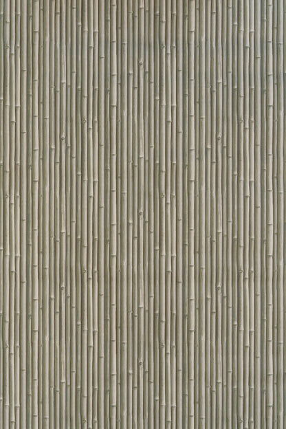 Palm Beach Wallpaper by Jean Monro in Green Olive