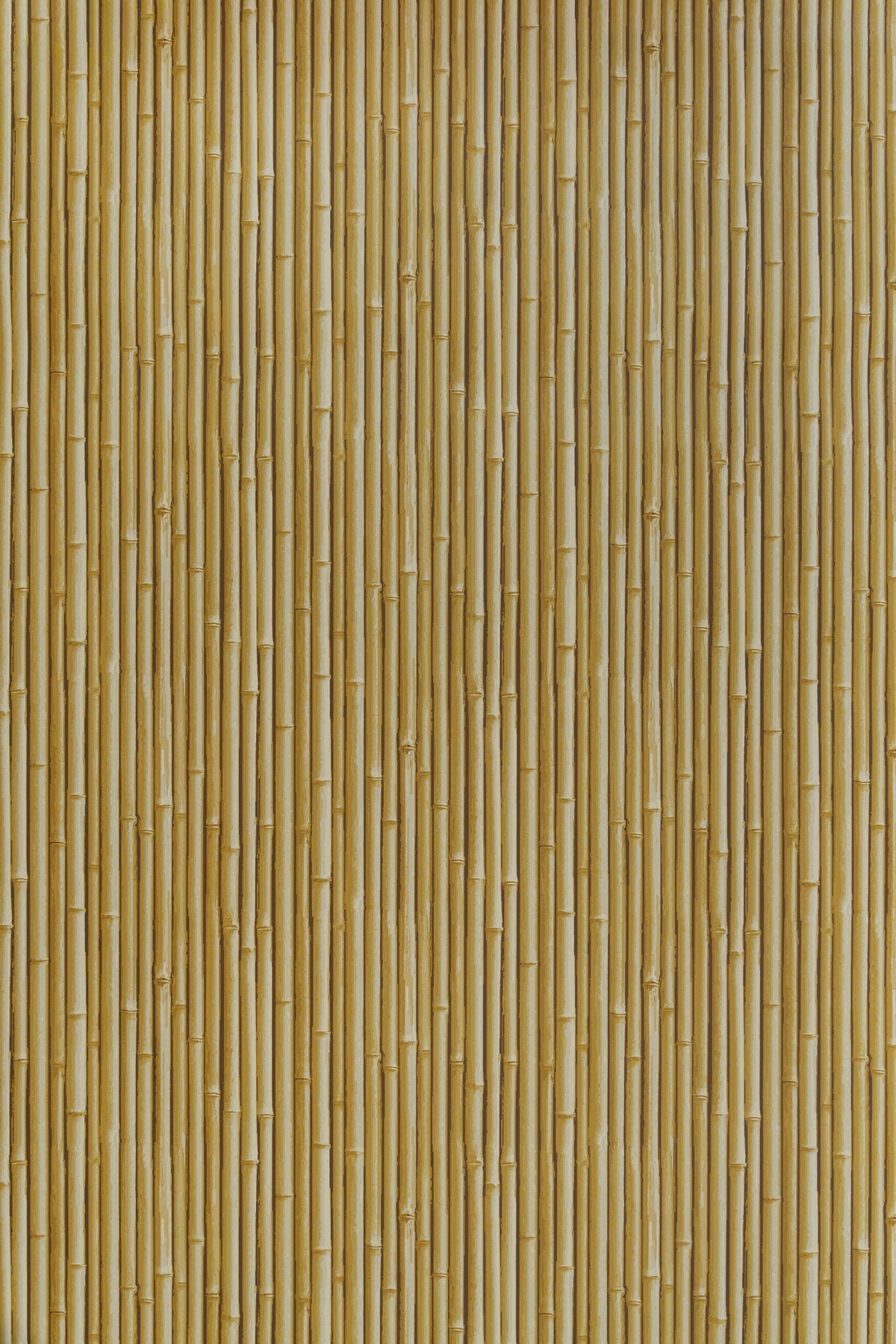 Palm Beach Wallpaper by Jean Monro in Haystack Yellow