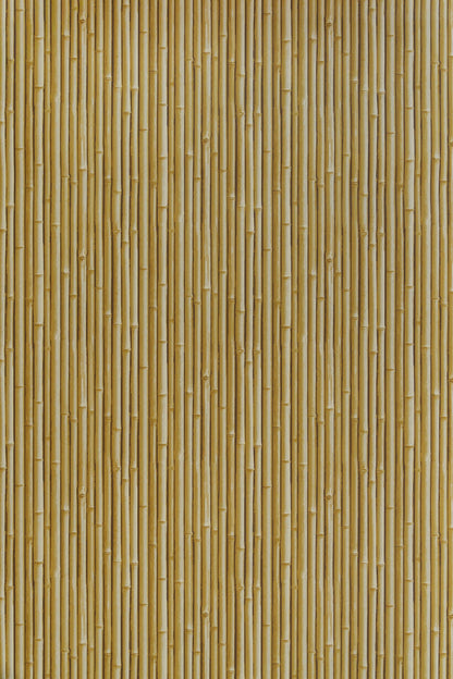 Palm Beach Wallpaper by Jean Monro in Haystack Yellow